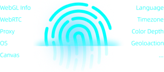 Browser fingerprint and isolated profile environment
