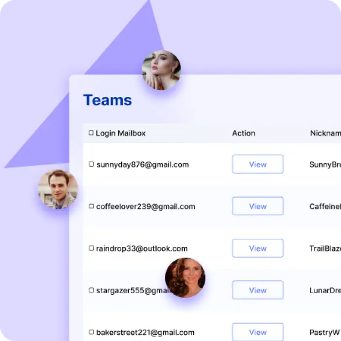 MoreLogin team permissions and browser profile management
